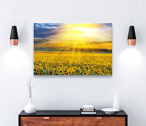 Obraz Lány žltých slnečníc zs1170